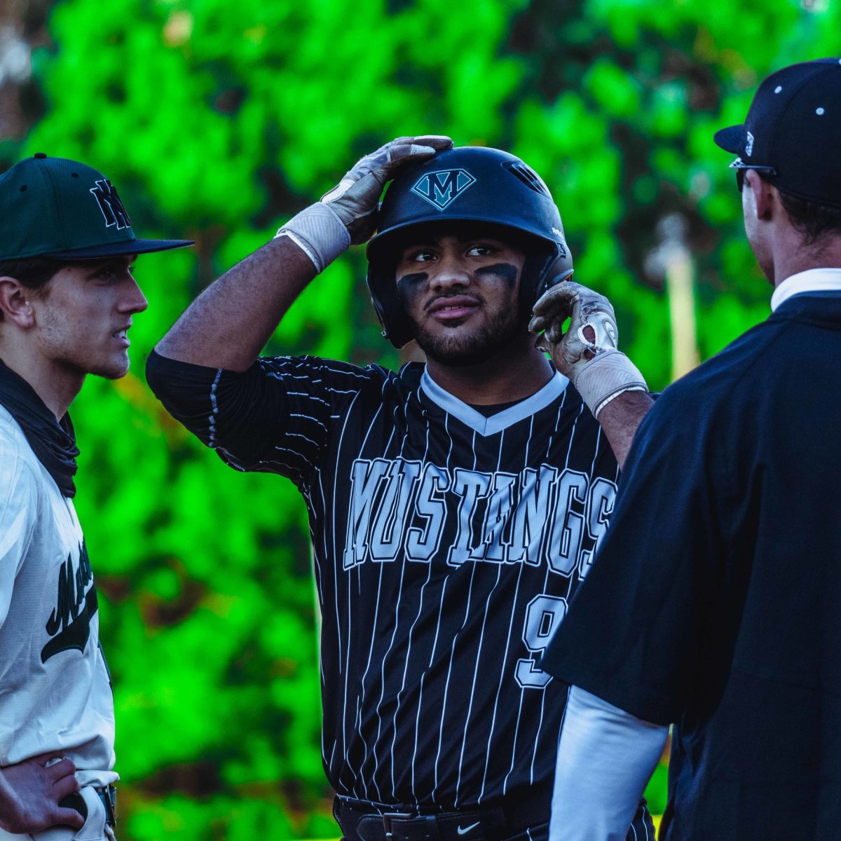 Willie_Prince_Kennesaw_Mountain_baseball.58